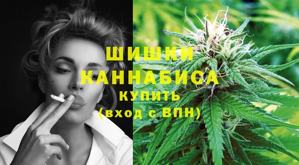 соль ск Арсеньев