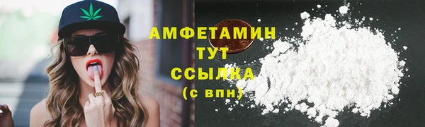 PSILOCYBIN Аркадак