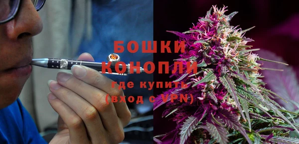 соль ск Арсеньев