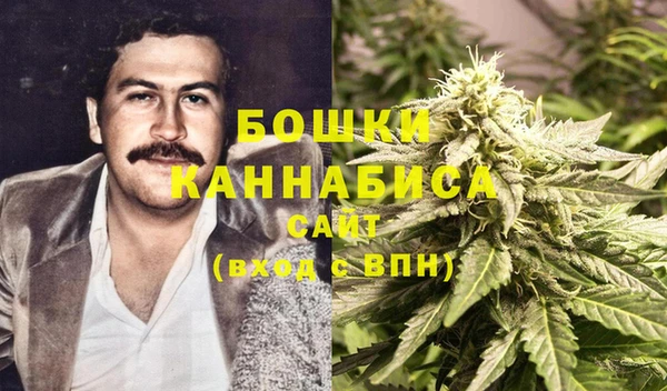 PSILOCYBIN Аркадак