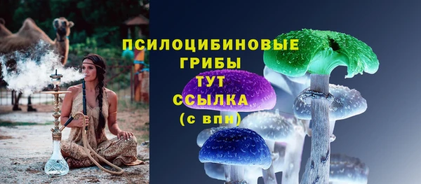соль ск Арсеньев