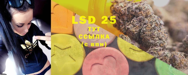 PSILOCYBIN Аркадак